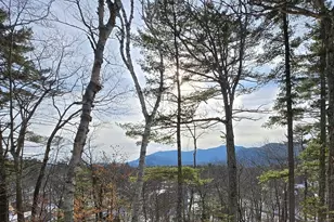 00 Moat Mountain Circle, Bartlett, NH 03845 - Photo 1