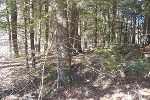 14-077 Deerpoint Dr, Hillsboro, NH 03244 - Photo 1