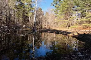 702 Province Rd, Belmont, NH 03220 - Photo 1
