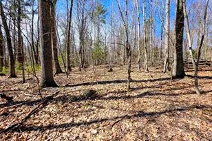 0000 Wildcat Dr, Haverhill, NH 03765 - Photo 1