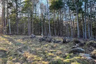 11 Raccoon Hill Rd, Salisbury, NH 03268 - Photo 1