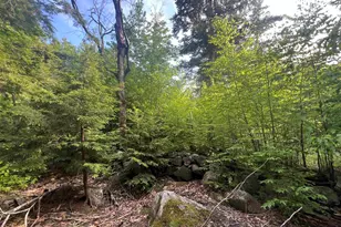 7199 Shaker Rd, Loudon, NH 03307 - Photo 1
