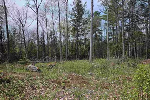 Lot 10 1 Wallace Hill Rd, Franconia, NH 03580 - Photo 1