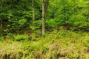 Lot 67 Camp Brook Rd, Alstead, NH 03602 - Photo 1