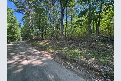 Lot 20.3 (Tm4) John Hodgdon Road, Ossipee, NH 03864 - Photo 1