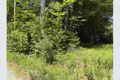 Lot 608 Rabbit Path, Hillsboro, NH 03244 - Photo 1