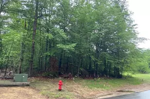 65 S Peak Rd, Lincoln, NH 03251 - Photo 1