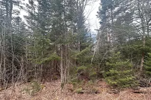 0 N Littleton Rd, Littleton, NH 03561 - Photo 1