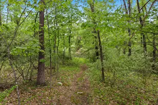 67 Austin Rd, Amherst, NH 03031 - Photo 1