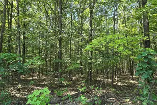 406-19 Guinea Ridge Rd, Gilmanton, NH 03237 - Photo 1