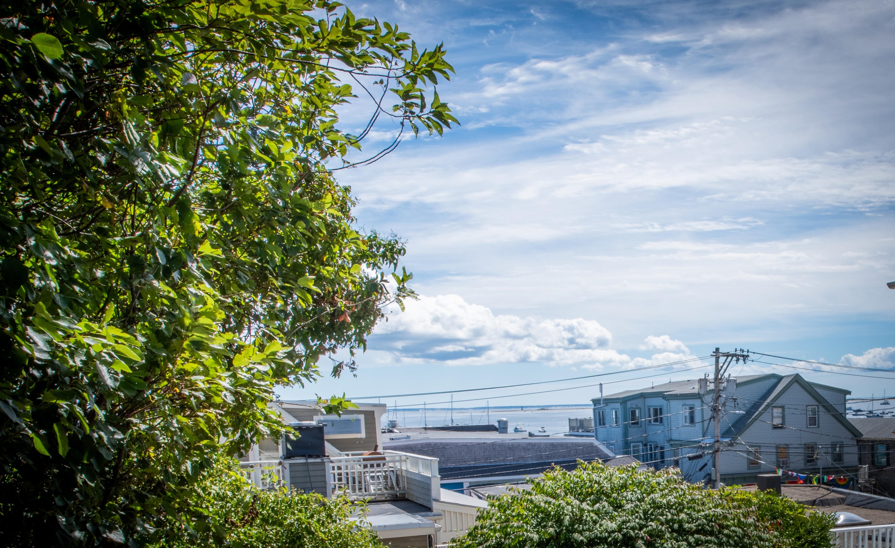 3 Carver St, Provincetown MA 02657-2112 exterior