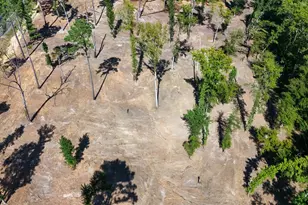 16393 W Hwy 31 Lot-4, Tyler, TX 75709 - Photo 20