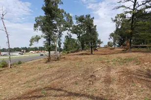 16393 W Hwy 31 Lot-4, Tyler, TX 75709 - Photo 10