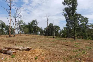 16393 W Hwy 31 Lot-4, Tyler, TX 75709 - Photo 14