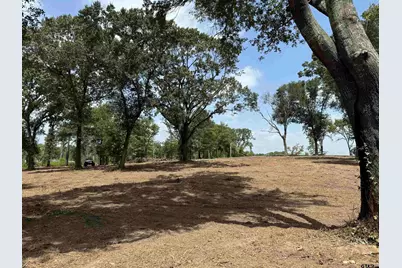 16393 W Hwy 31 Lot-4, Tyler, TX 75709 - Photo 8