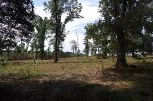 16393 W Hwy 31 Lot-5, Tyler, TX 75709 - Photo 20