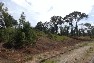 16393 W Hwy 31 Lot-3, Tyler, TX 75709 - Photo 32