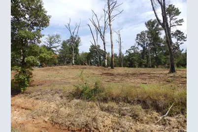 16393 W Hwy 31 Lot-3, Tyler, TX 75709 - Photo 16