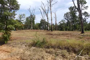 16393 W Hwy 31 Lot-3, Tyler, TX 75709 - Photo 16