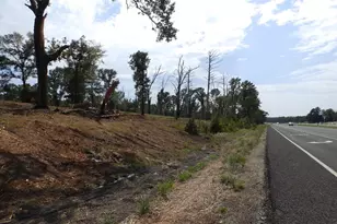 16393 W Hwy 31 Lot-3, Tyler, TX 75709 - Photo 20