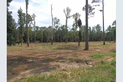 16393 W Hwy 31 Lot-2, Tyler, TX 75709 - Photo 6