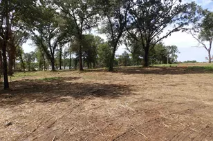 16393 W Hwy 31 Lot-2, Tyler, TX 75709 - Photo 12