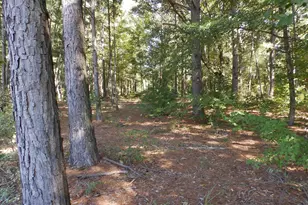 16393 W Hwy 31 Lot-1, Tyler, TX 75709 - Photo 30