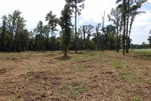 16393 W Hwy 31 Lot-1, Tyler, TX 75709 - Photo 8