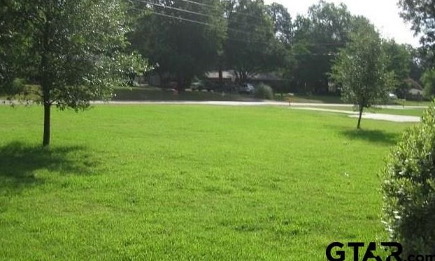 209 Arch Davis Rd, Faker, TX 75686-1925