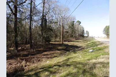 20175 S Hwy 155 Lot D, Flint, TX 75762 - Photo 40