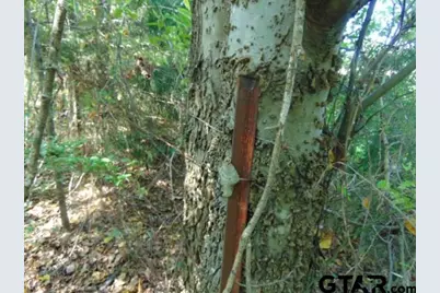 400 Block S Doctor M. Roper Parkway (U.S. 69), Bullard, TX 75757 - Photo 20