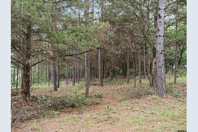 Tbd Cr 413 (5+/- Acres -Tract 3) - Photo 1