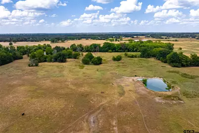 87 Acres Fm 269, Pickton, TX 75471 - Photo 20