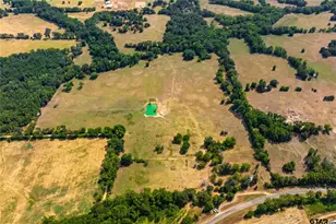 87 Acres Fm 269, Pickton, TX 75471 - Photo 1