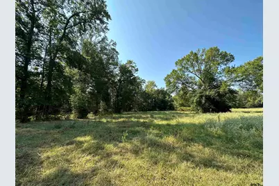 87 Acres Fm 269, Pickton, TX 75471 - Photo 30