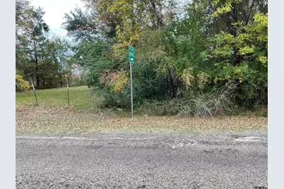 Tbd Cr 2940/ Fm 1799, Alba, TX 75410 - Photo 4