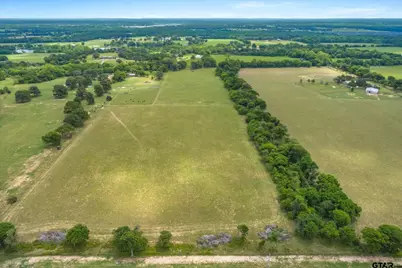20+/- Acres Vz County Road 4412, Ben Wheeler, TX 75754 - Photo 8