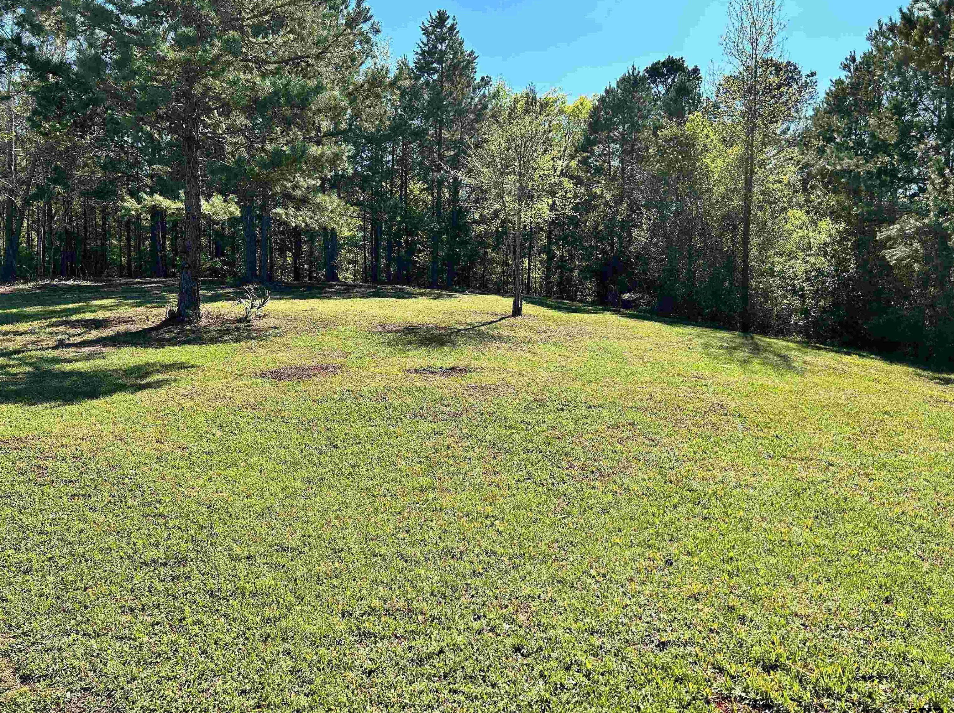 7733 Fm 343, Rusk, TX 75785-5446