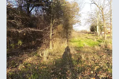 Tbd Rains County Road 3410, Emory, TX 75440 - Photo 8