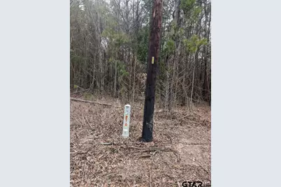 0 County Road 3460, Hawkins, TX 75765 - Photo 4