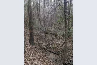 0 County Road 3460, Hawkins, TX 75765 - Photo 2