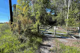 2151 E Hwy 80, Mineola, TX 75773 - Photo 1