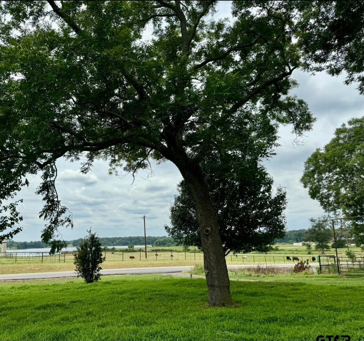 651 Fm 1995, Van, TX 75790-4426