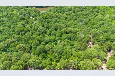 Tract F 306 Private Road 8507, Van, TX 75790 - Photo 8
