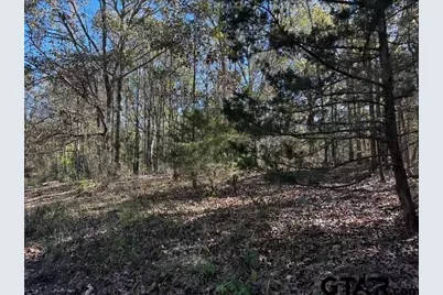 Tract F 306 Private Road 8507, Van, TX 75790 - Photo 16