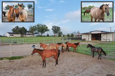 1320 Murrah Lane, Kaufman, TX 75142 - Photo 32