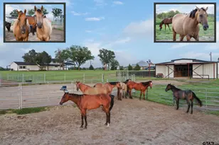 1320 Murrah Ln, Kaufman, TX 75142 - Photo 32