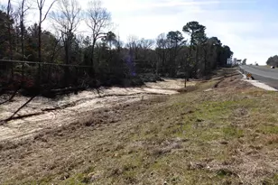 20175 S Hwy 155 Lot I, Flint, TX 75762 - Photo 18