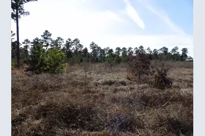 20175 S Hwy 155 Lot I, Flint, TX 75762 - Photo 28