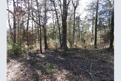 20175 S Hwy 155 Lot C1, Flint, TX 75762 - Photo 34